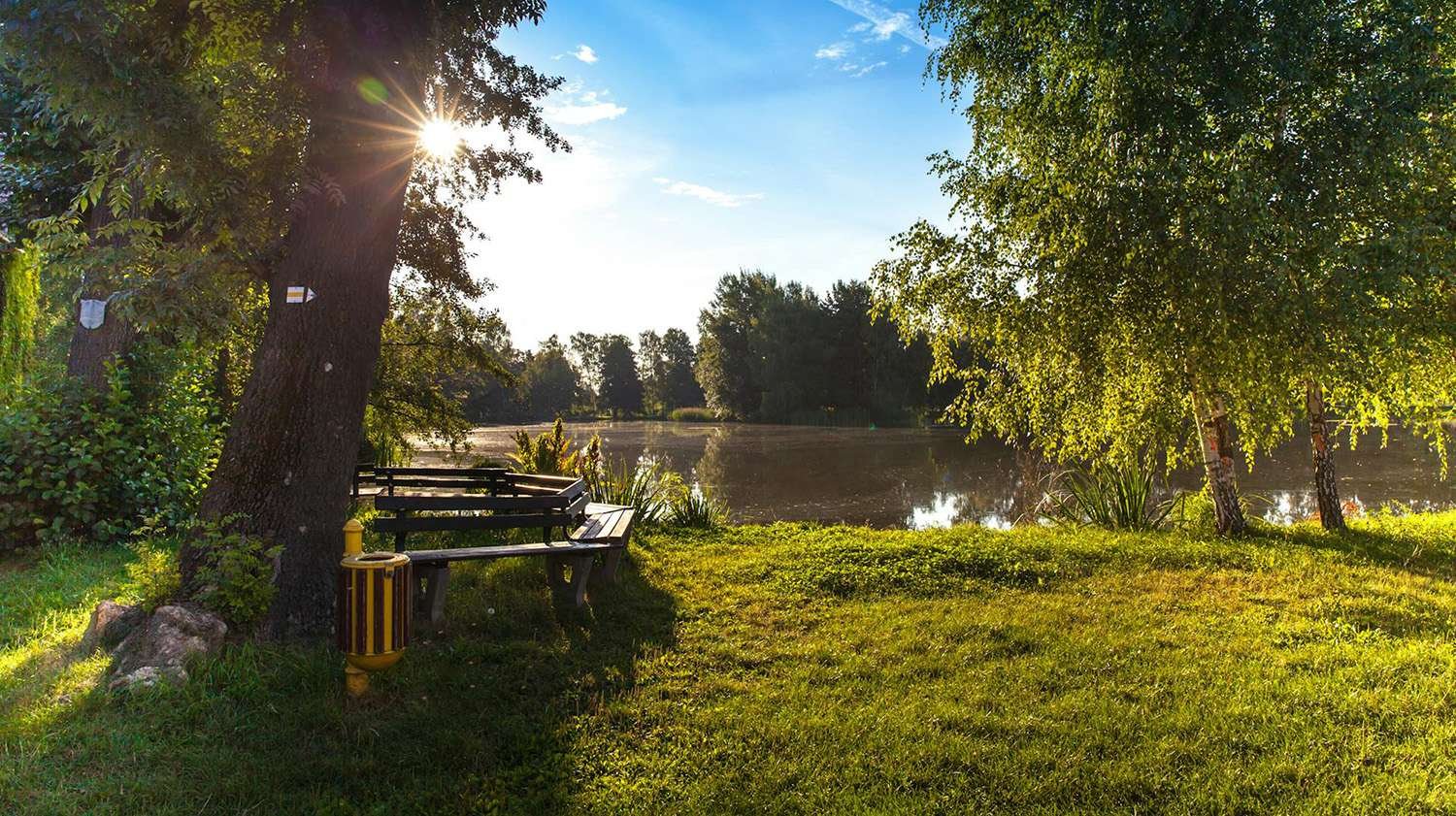 Why Choose Plastic Pots for Your Garden