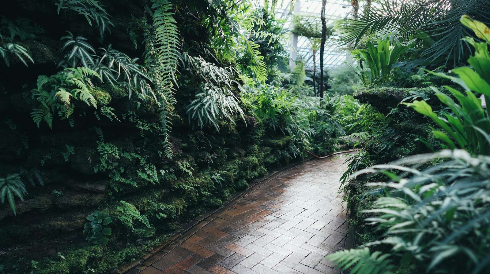 The Perfect Planter for Every Space