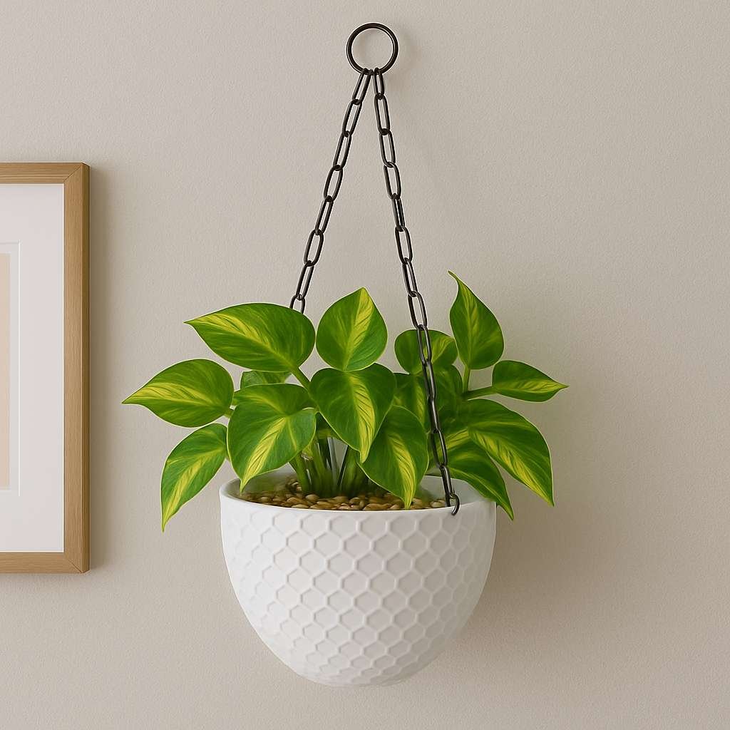 Cerana Basket Cerana Basket Image