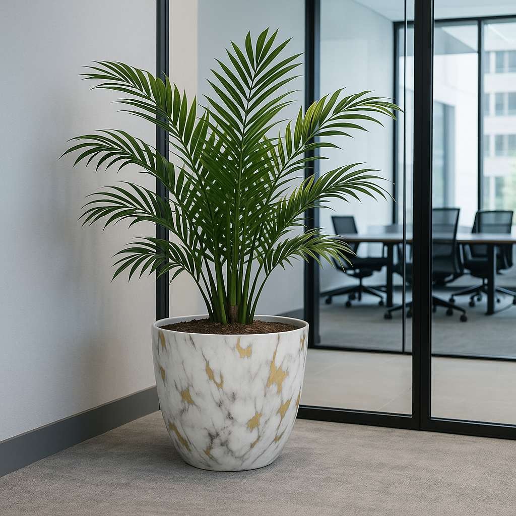 Designer Pots Orchid Round